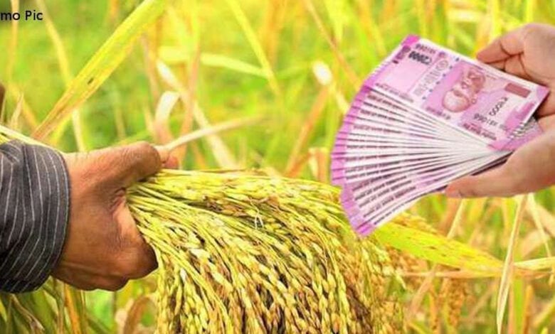 Crop-Loan-amravati-mandal