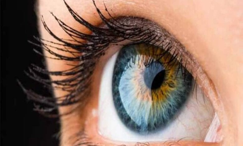 Eye-Donation-in-amravati-mandal