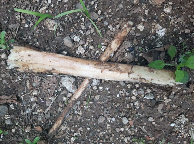 HATA-PAYANCHI-HADE-amravati-mandal