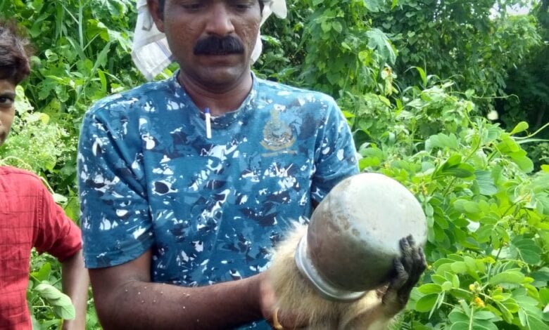 bandar-lota-amravati-mandal