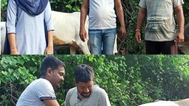 Farmers-amravati-mandal