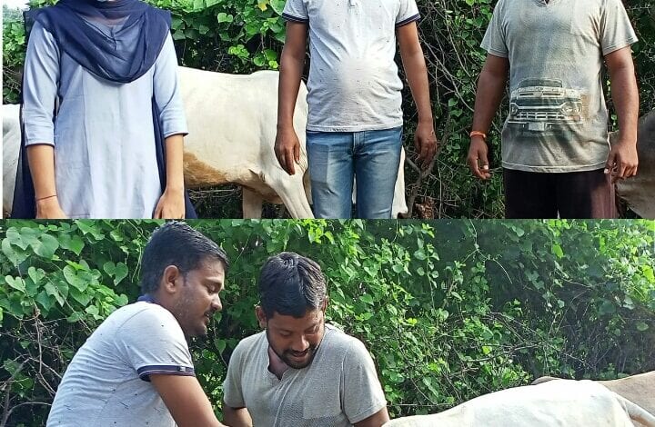 Farmers-amravati-mandal