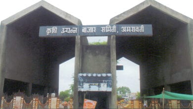 Old-crop-market-amravati-mandal