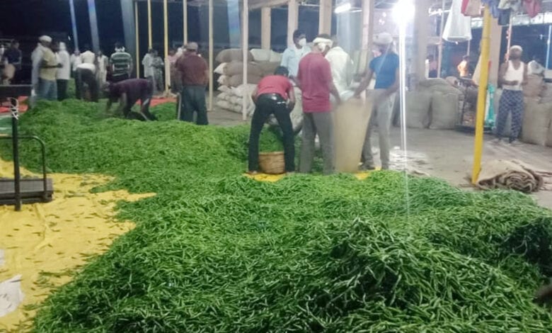 MIRCHI-MARKET-amravati-mandal