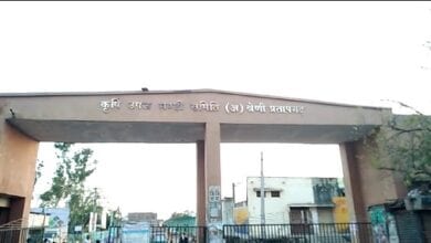 fasal-mandi-amravati-mandal