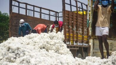 cotton-amravati-mandal