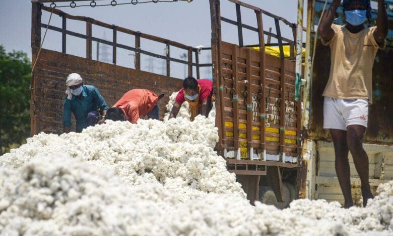 cotton-amravati-mandal