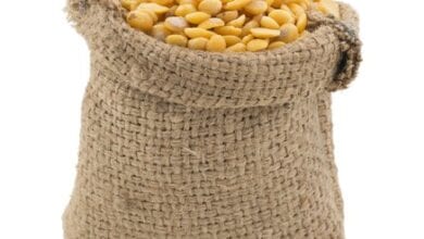 Steal-sacks-of-Tuar-amravati-mandal