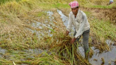 farmer-amravati-mandal