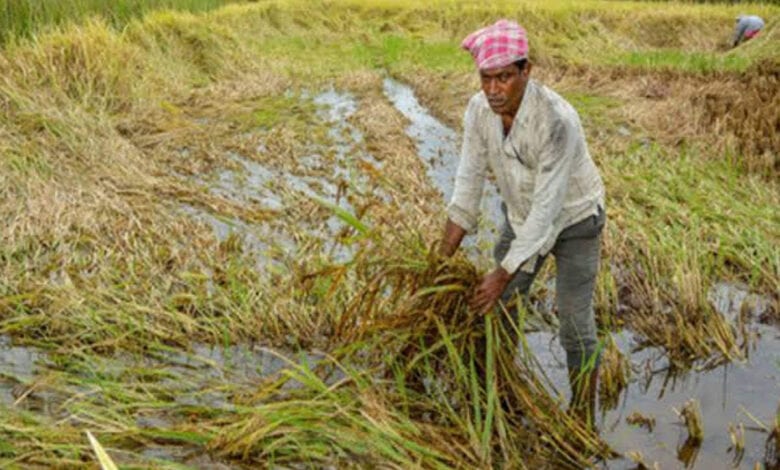 farmer-amravati-mandal
