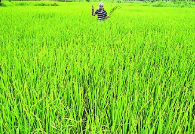 farmers-amravati-mandal