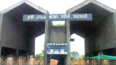 fasal-mandi-amravati-mandal