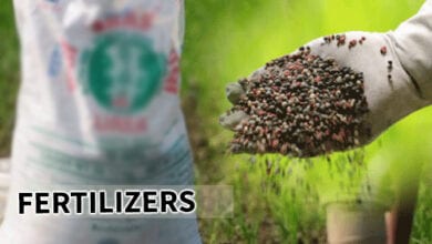 Agricultural-fertilizer-amravati-mandal