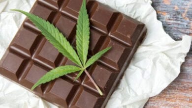 ganja-choclate-amravati-mandal