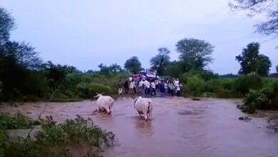 morshi-flood-amravati-mandal