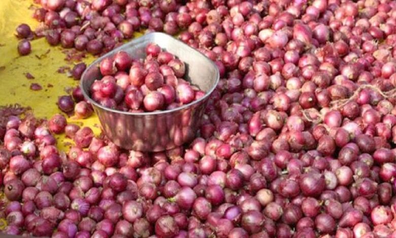 Onion-amravati-mandal