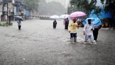 rainfall-amravati-mandal