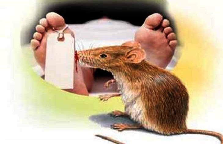 rat-corpe-amravati-mandal