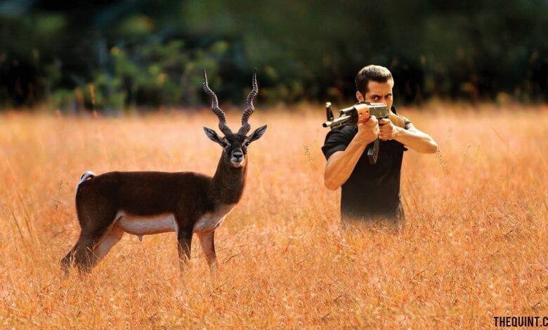 salman-black-buck-hit-amravati-mandal