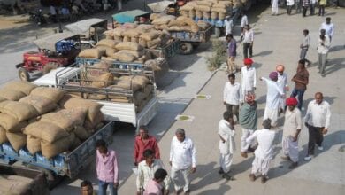 Agricultural-produce-market-amravati-mandal
