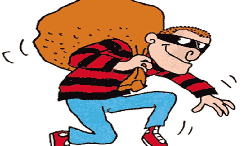 thief-amravati-mandal