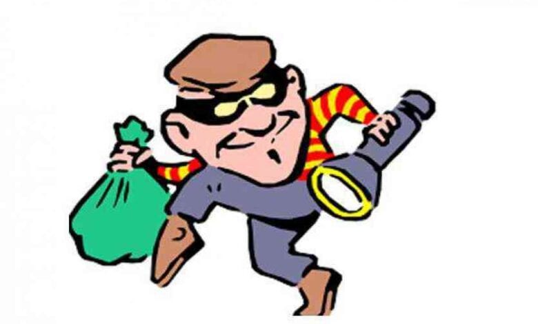 thief-amravati-mandal