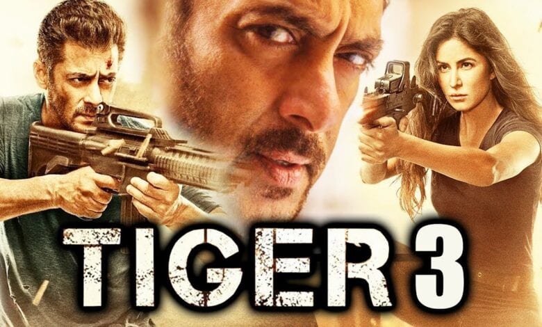 tiger-3-amravati-mandal