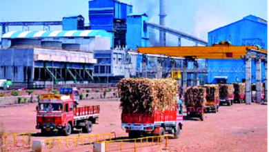 Sugar-amravati-mandal