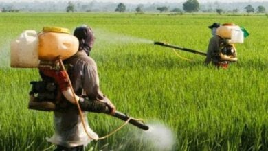 yavatmal-farmer-amravati-mandal