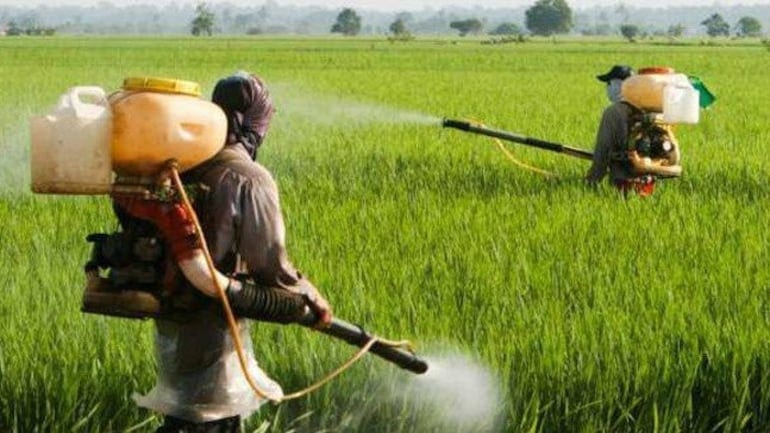 yavatmal-farmer-amravati-mandal