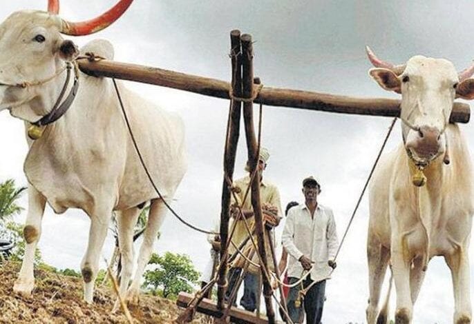 yuva-kisan-amravati-mandal