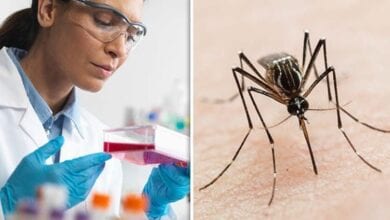 Dengue-amravati-mandal