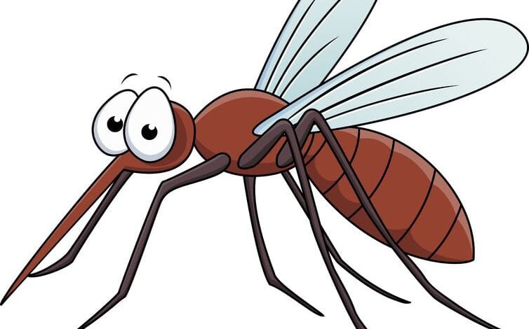 Dengue-amravati-mandal
