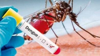 Dengue-positive-amravati-mandal