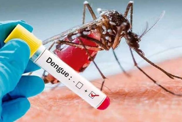 Dengue-positive-amravati-mandal