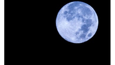 Blue-Moon-Amravati-Mandal