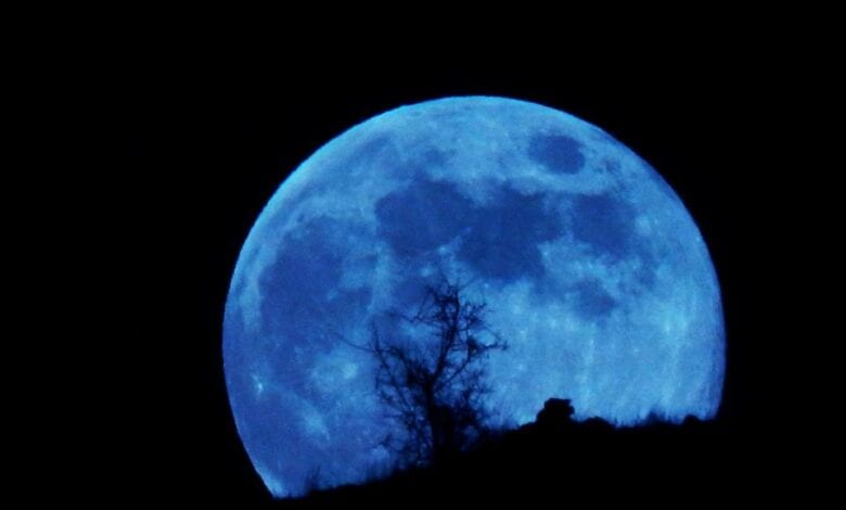 Blue-Moon-Amravati-Mandal