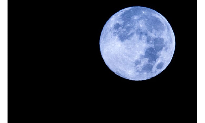 Blue-Moon-Amravati-Mandal