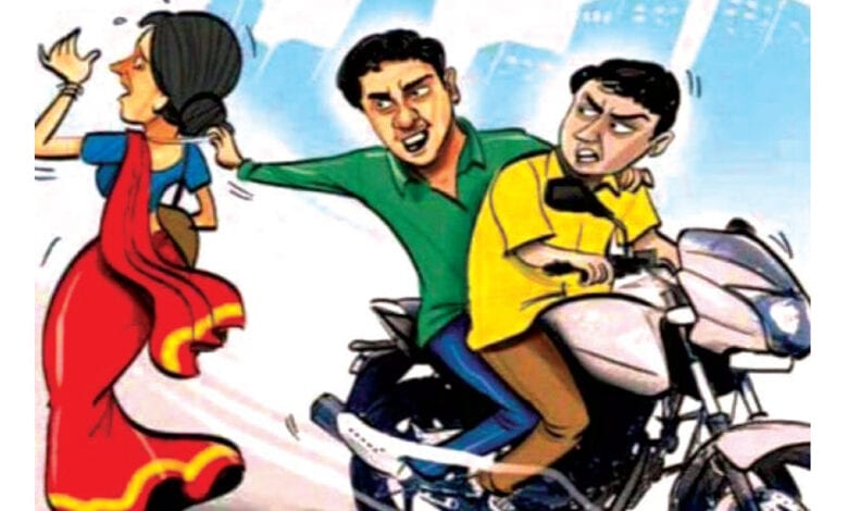 Chin-Snatcher-Amravati-Mandal