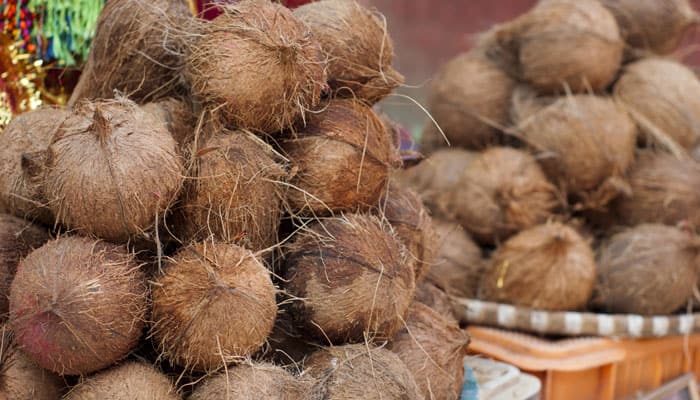 Coconut-Amravati-Mandal