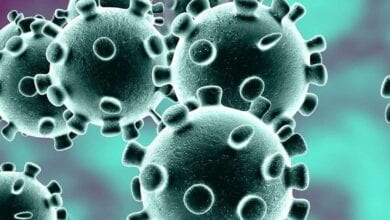 Coronavirus-Amravati-Mandal
