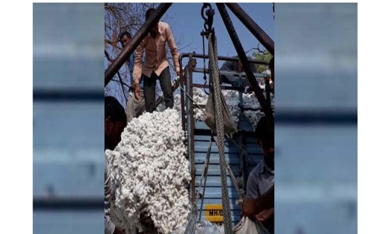 Cotton-Amravati-Mandal
