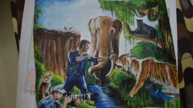 Wildlife-amravati-mandal