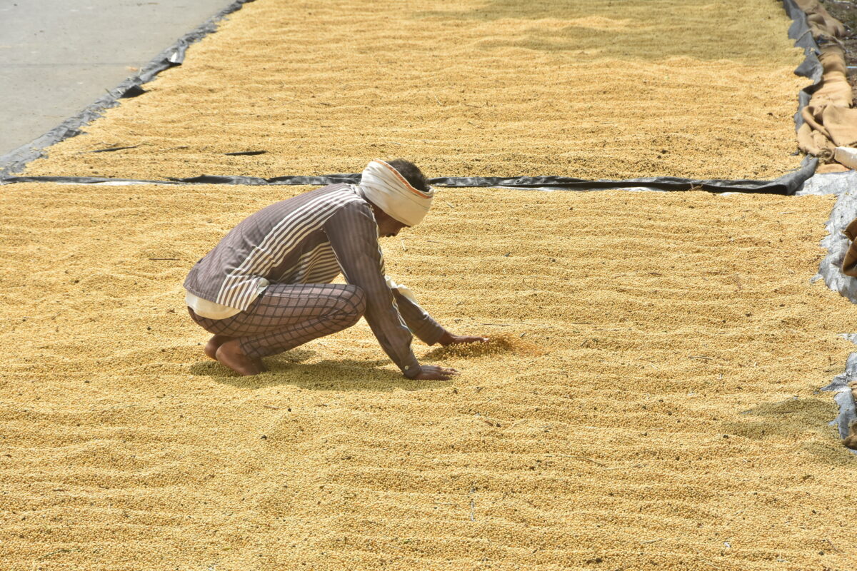 soyabean-amravati-mandal