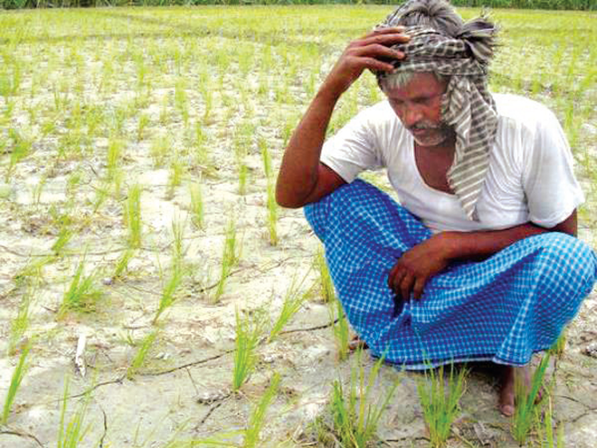 Farmer-Amravati-Mandal