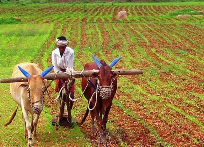 Farmer-Amravati-Mandal