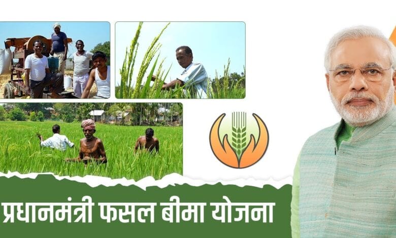 Fasal-Amravati-Mandal