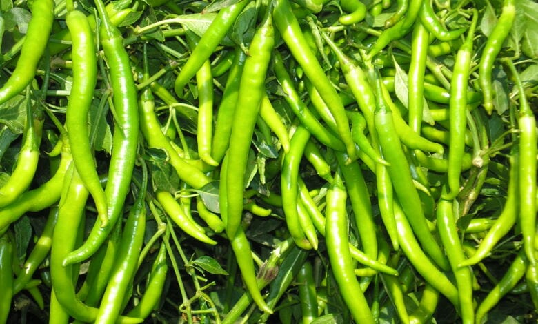 Mirchi-Amravati-Mandal
