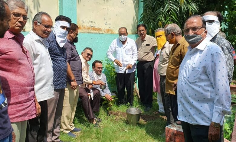 Tree-Plantation-Amravati-Mandal