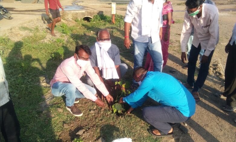 Tree-Plantation-Amravati-Mandal
